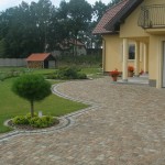 Granite Paving Mosaic